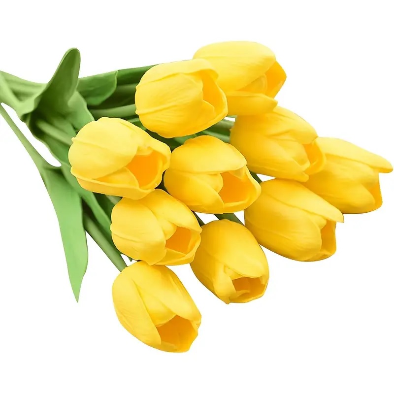 žluté tulipány